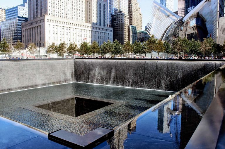 Callery pear Survivor tree at the National September 11 Memorial & Museum.