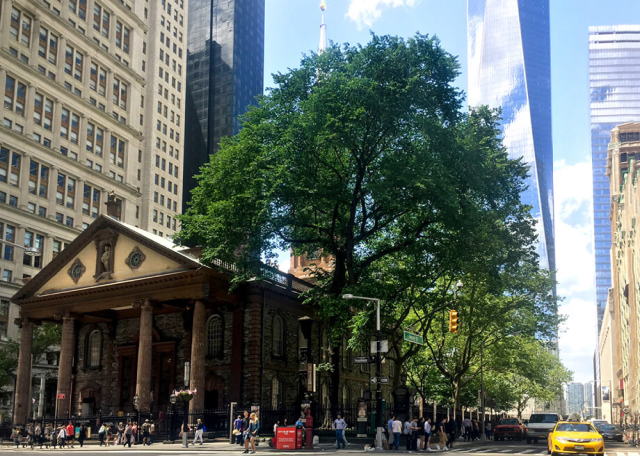 Survivor Tree - Picture of Private 9/11 Memorial Tour, New York City -  Tripadvisor