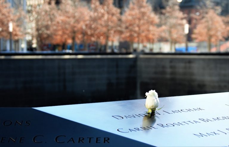 Rose at the 9/11 Memorial waterfall