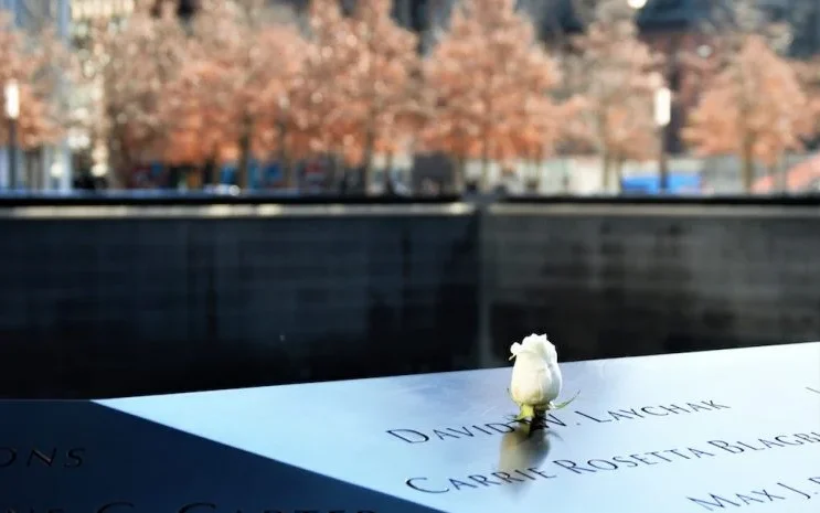Rose at the 911 memorial waterfall