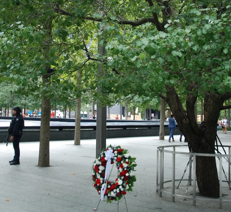 Callery pear treet at the 9/11 Memorial in New York City with commemorative wreath